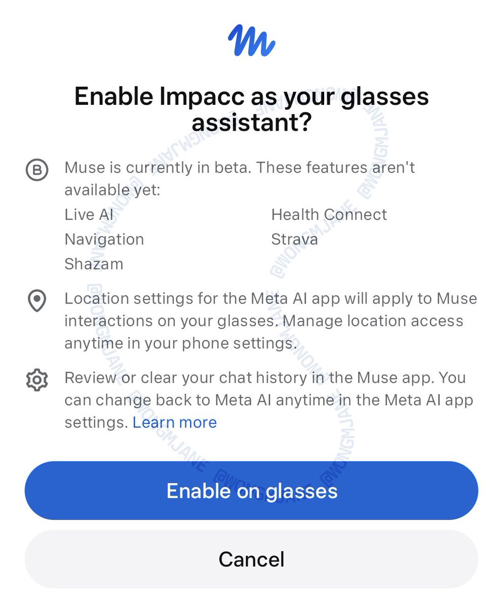 Muse setup screen asking whether to enable an assistant on Meta glasses and listing beta features.