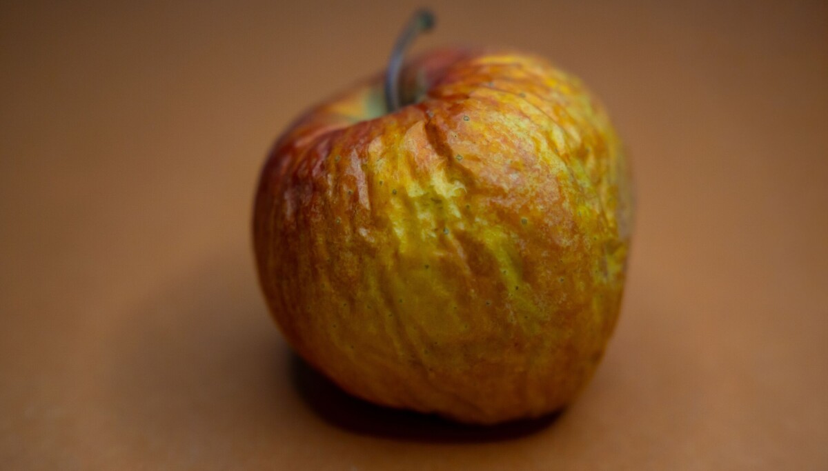 Apple's unreleased Copland operating system running inside a browser emulator.