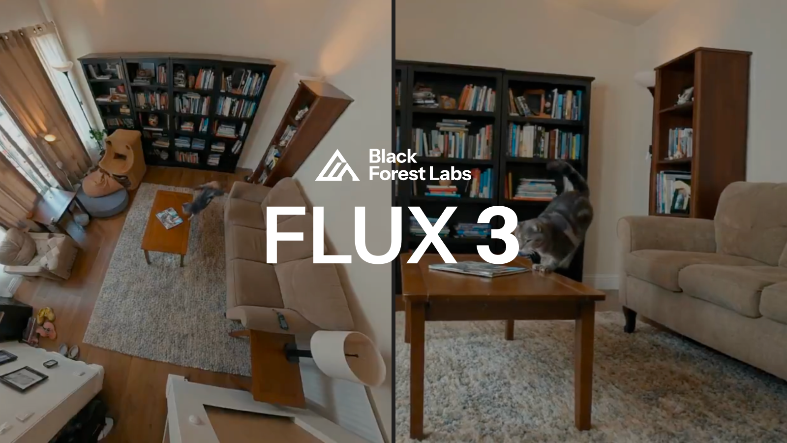 Flux 3 Generates Synchronized Split-Screen Video of Jumping Cat